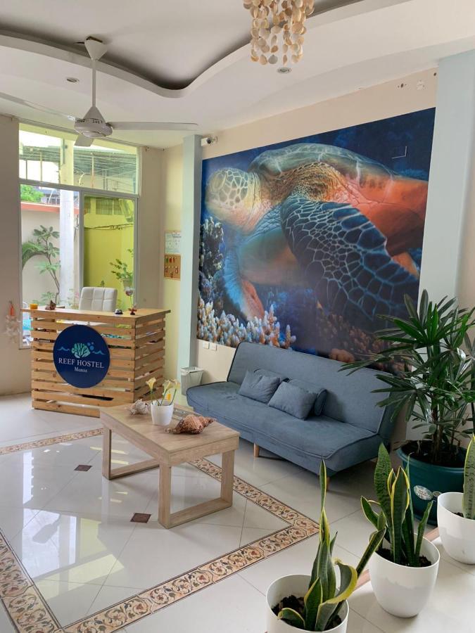 Reef Hostel Manta Eksteriør billede